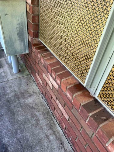 Buford-Georgia-Pest-Control-Service-269