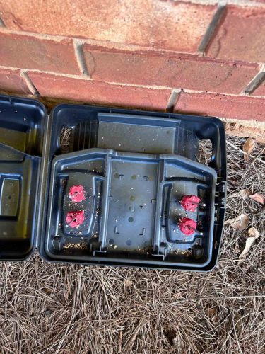 Buford-Georgia-Pest-Control-Service-272