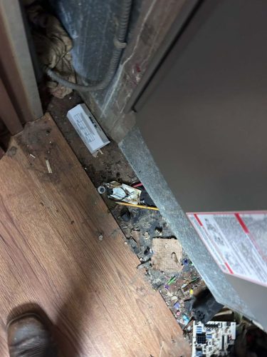 Buford-Georgia-Pest-Control-Service-273