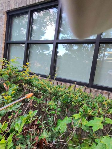 Buford-Georgia-Pest-Control-Service-277