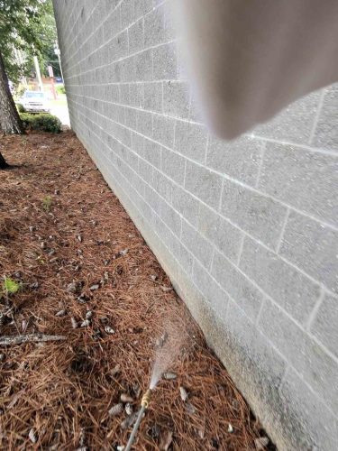 Buford-Georgia-Pest-Control-Service-287