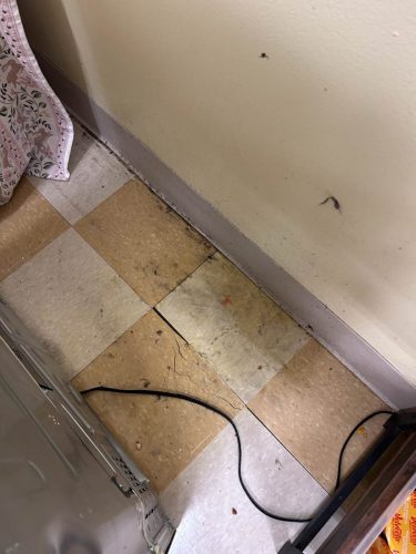 Buford-Georgia-Pest-Control-Service-309