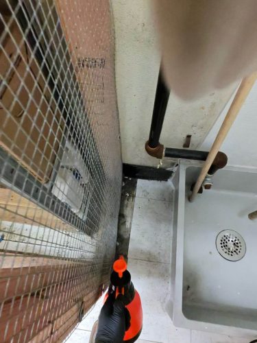 Buford-Georgia-Pest-Control-Service-310