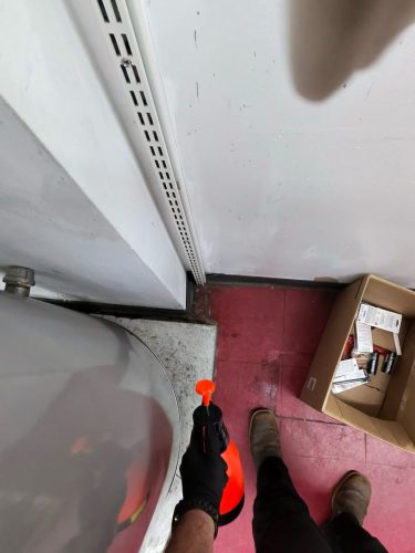 Buford-Georgia-Pest-Control-Service-315