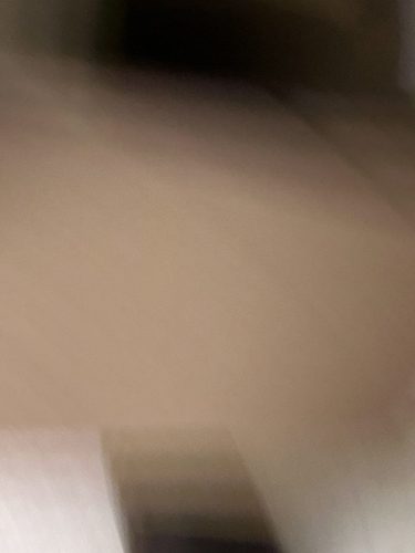 Buford-Georgia-Pest-Control-Service-336