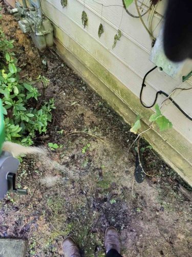 Buford-Georgia-Pest-Control-Service-340