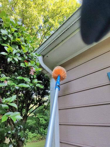 Buford-Georgia-Pest-Control-Service-341