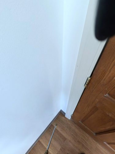 Buford-Georgia-Pest-Control-Service-343