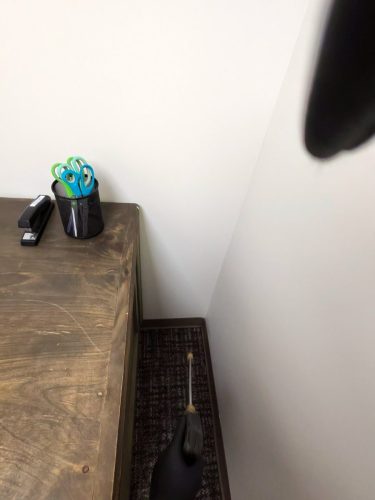 Buford-Georgia-Pest-Control-Service-345