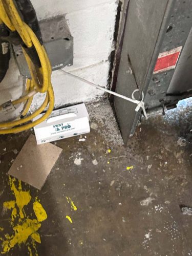 Buford-Georgia-Pest-Control-Service-35