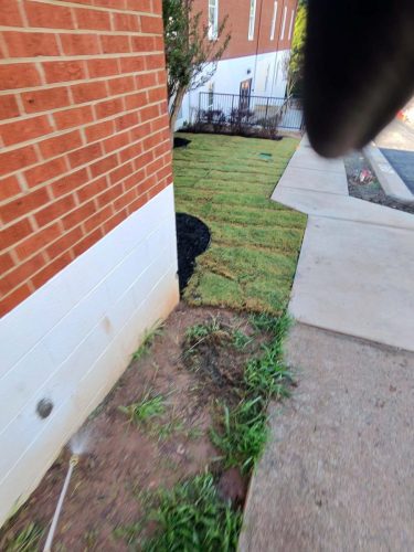 Buford-Georgia-Pest-Control-Service-350