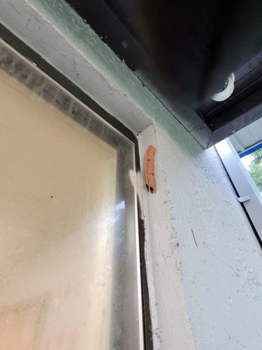 Buford-Georgia-Pest-Control-Service-353