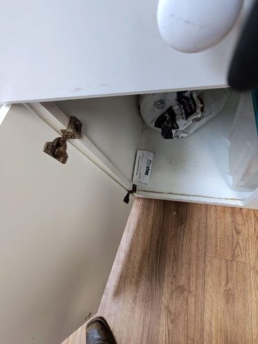 Buford-Georgia-Pest-Control-Service-354