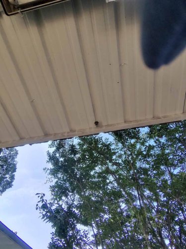 Buford-Georgia-Pest-Control-Service-355