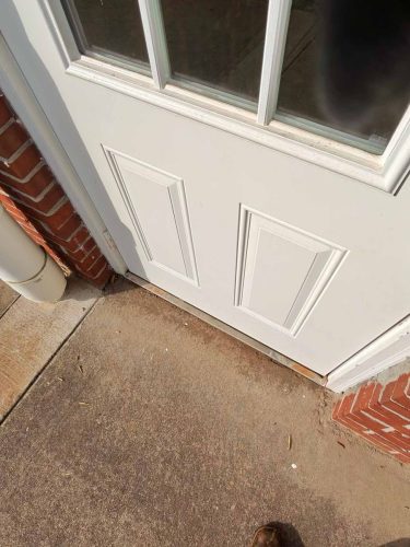 Buford-Georgia-Pest-Control-Service-365