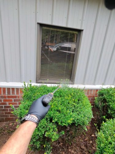 Buford-Georgia-Pest-Control-Service-368