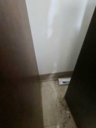 Buford-Georgia-Pest-Control-Service-371