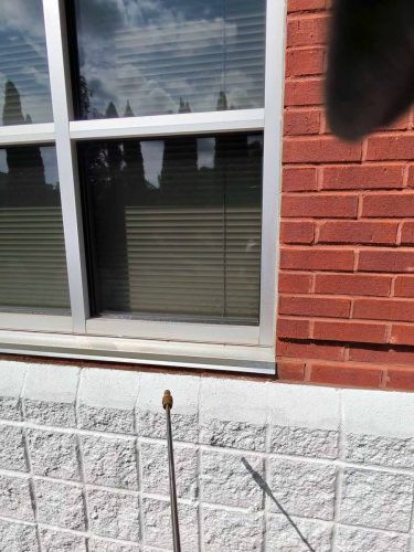 Buford-Georgia-Pest-Control-Service-376