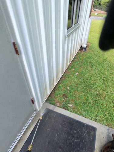 Buford-Georgia-Pest-Control-Service-377