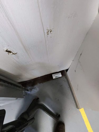 Buford-Georgia-Pest-Control-Service-378