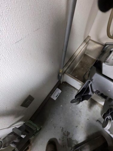 Buford-Georgia-Pest-Control-Service-379