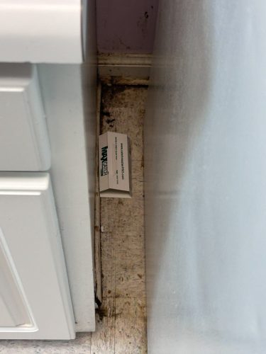 Buford-Georgia-Pest-Control-Service-380