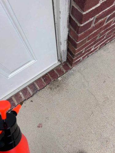 Buford-Georgia-Pest-Control-Service-381