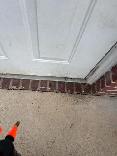 Buford-Georgia-Pest-Control-Service-384