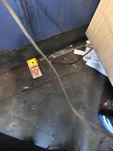 Buford-Georgia-Pest-Control-Service-390