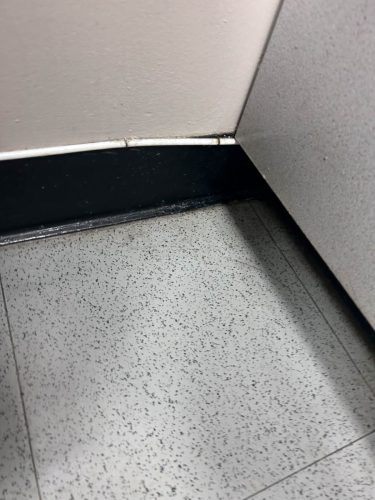 Buford-Georgia-Pest-Control-Service-394