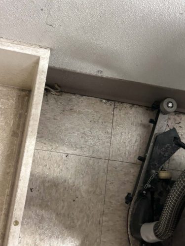 Buford-Georgia-Pest-Control-Service-399