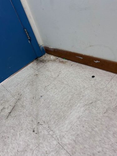 Buford-Georgia-Pest-Control-Service-405