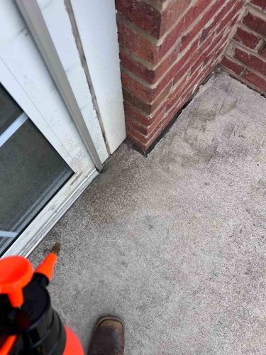 Buford-Georgia-Pest-Control-Service-419