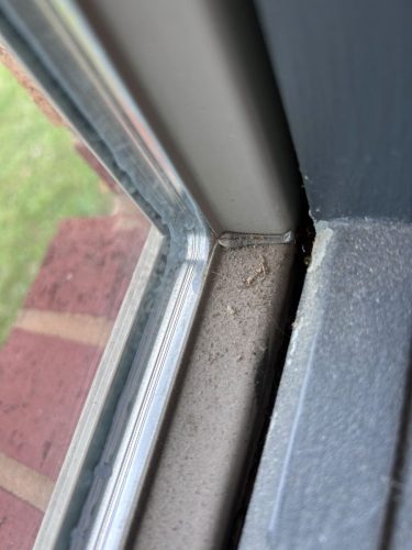 Buford-Georgia-Pest-Control-Service-433