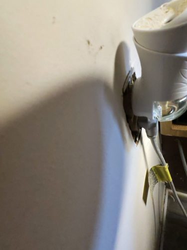 Buford-Georgia-Pest-Control-Service-435