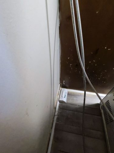 Buford-Georgia-Pest-Control-Service-436