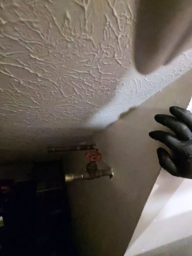 Buford-Georgia-Pest-Control-Service-438