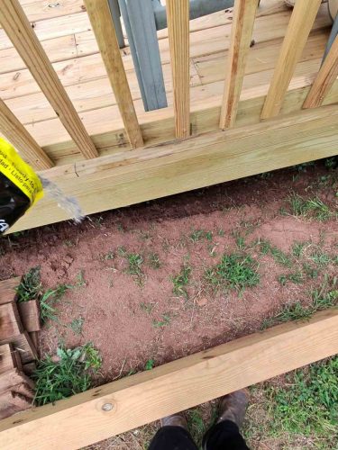 Buford-Georgia-Pest-Control-Service-443