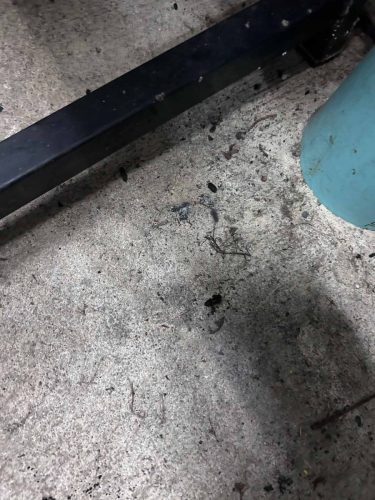 Buford-Georgia-Pest-Control-Service-450