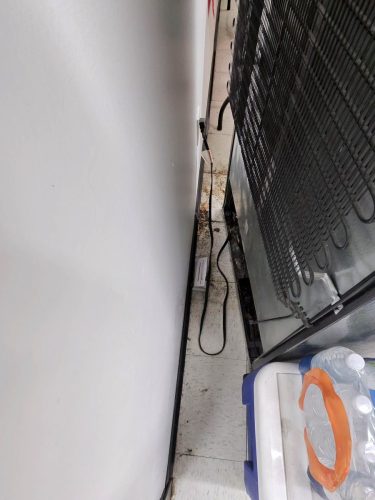 Buford-Georgia-Pest-Control-Service-455