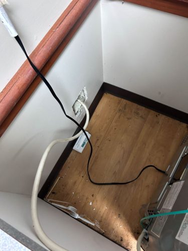 Buford-Georgia-Pest-Control-Service-461