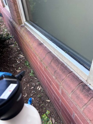 Buford-Georgia-Pest-Control-Service-49