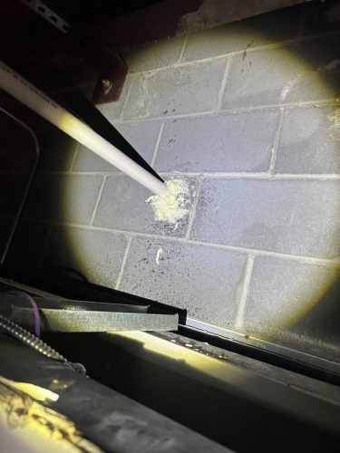 Buford-Georgia-Pest-Control-Service-56