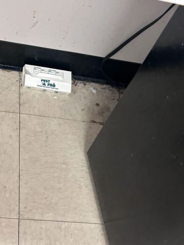 Buford-Georgia-Pest-Control-Service-68