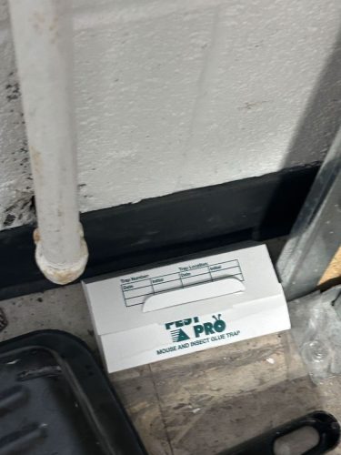 Buford-Georgia-Pest-Control-Service-74