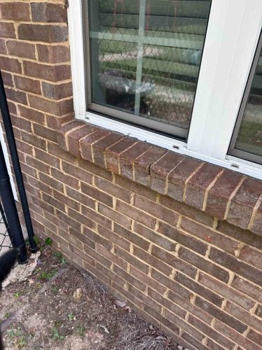 Buford-Georgia-Pest-Control-Service-77