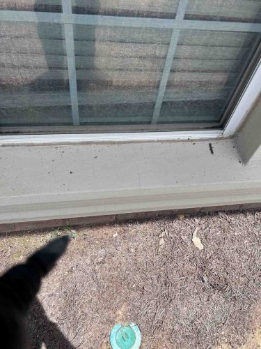 Buford-Georgia-Pest-Control-Service-78