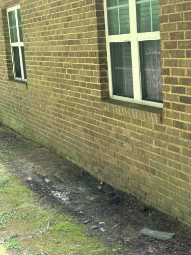 Buford-Georgia-Pest-Control-Service-79