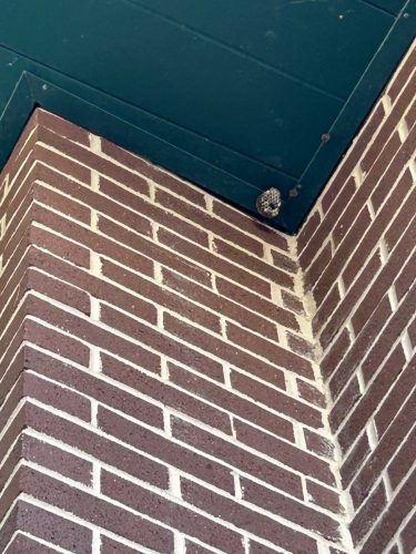 Buford-Georgia-Pest-Control-Service-8