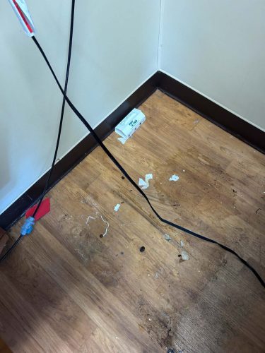Buford-Georgia-Pest-Control-Service-87